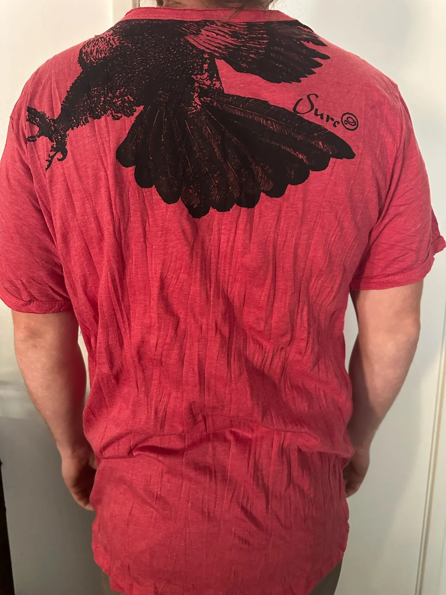 Men's Printed Hawk T-Shirt